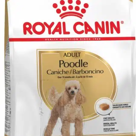 Royal Canin Breed Poodle Caniche Adulte