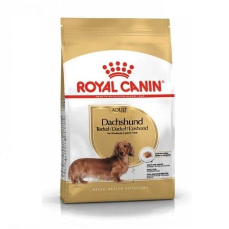 Teckel - dachshund 1.5kg