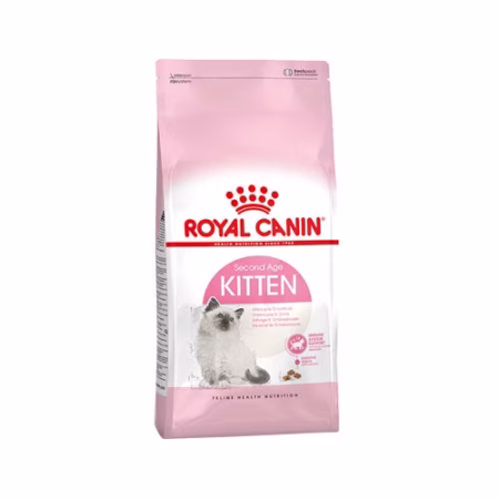 Kitten 4kg