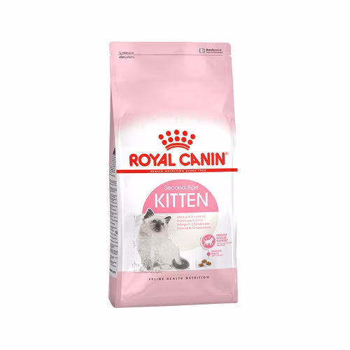 Kitten 4kg