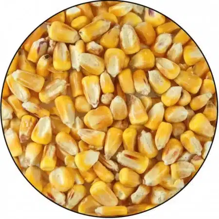 Mais 25kg